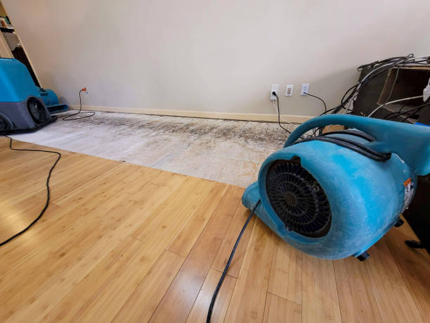 Professional Water Removal technician working in Woodworth, LA
